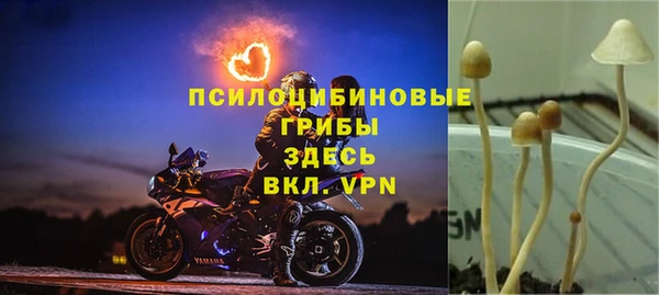 прущая мука Бронницы
